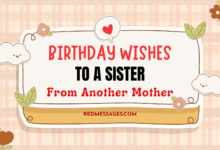 Birthday Wishes To A Sister From Another Mother