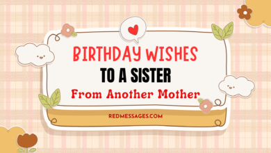 Birthday Wishes To A Sister From Another Mother