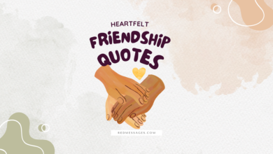 friendship quotes