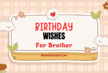 happy birthday brother