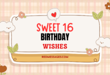 Happy Sweet 16 Birthday Wishes
