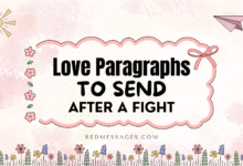 Love Paragraphs To Send After A Fight