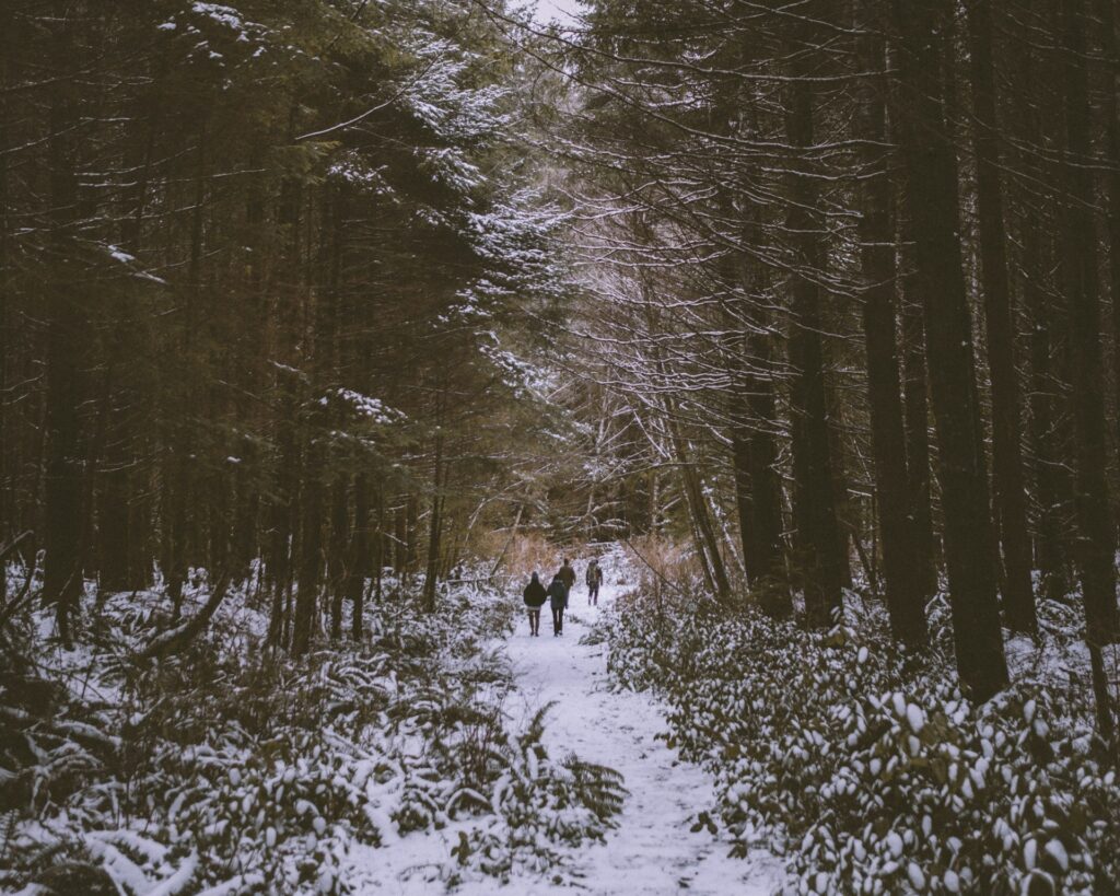 17 Long Distance Date Ideas