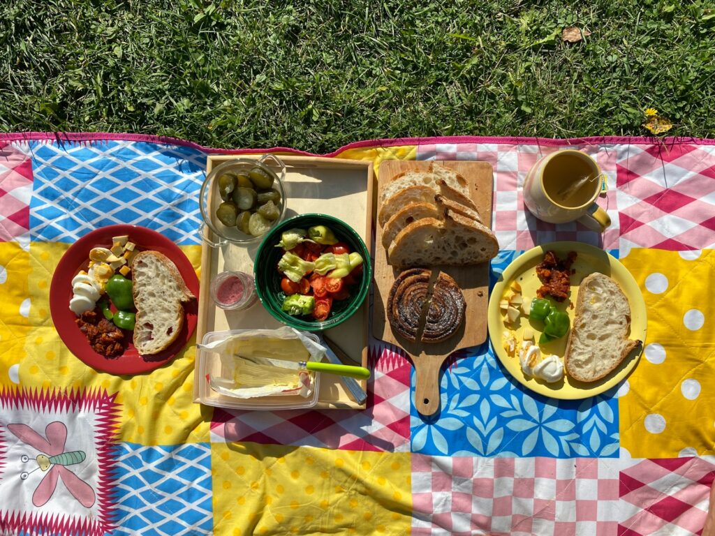 Have A Picnic In The Backyard Or Balcony