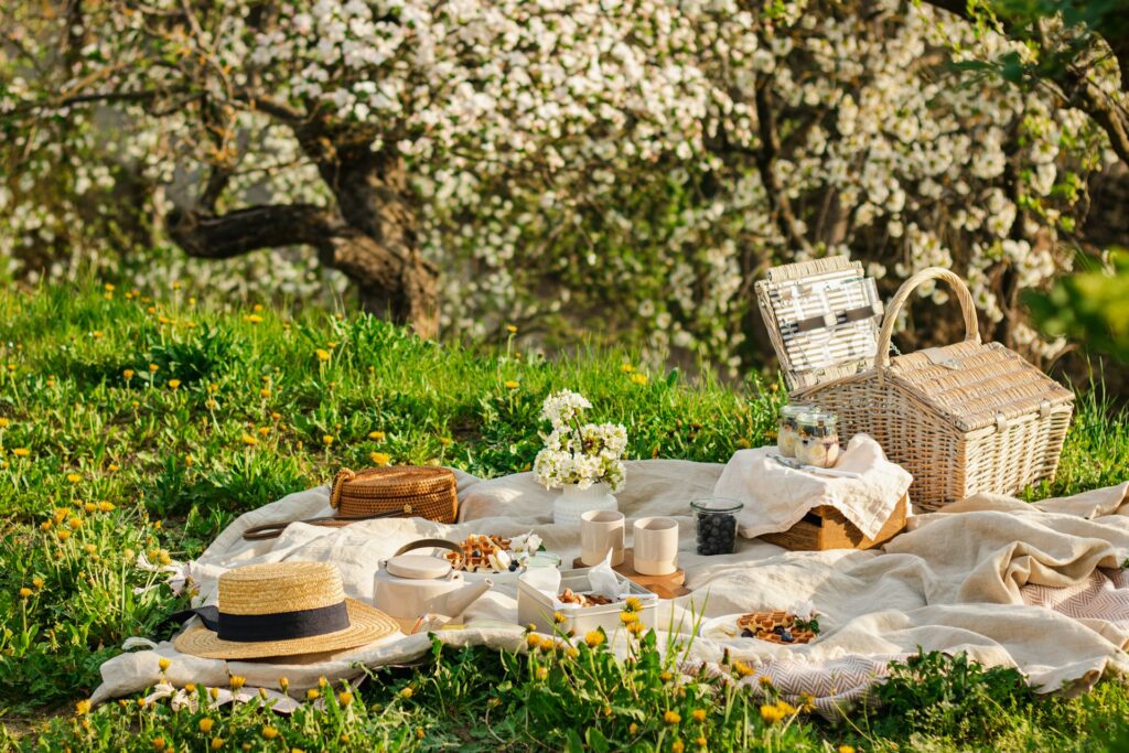 Hiking Picnic
