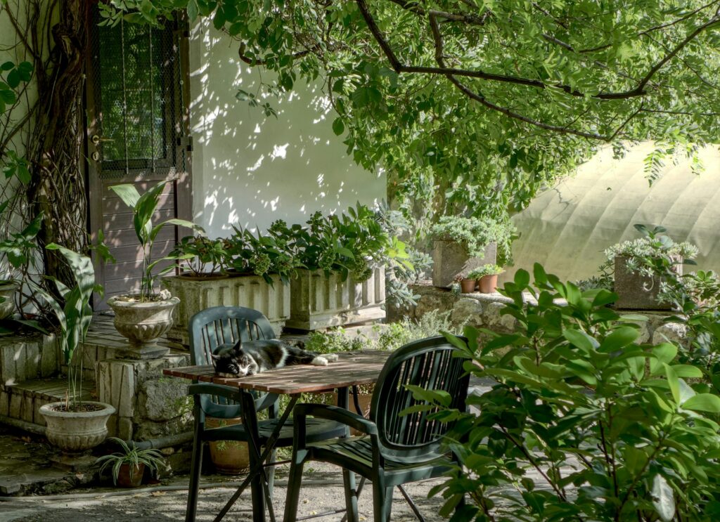 Visit A Botanical Garden
